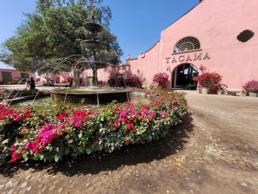 ICA: Pisco and Wine Route with tasting in 03 Wineries - Regional lunch and the real price of the outing