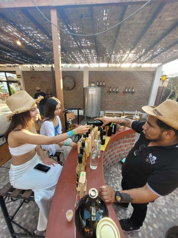 ICA: Pisco and Wine Route with tasting in 03 Wineries - Is $29 good value?