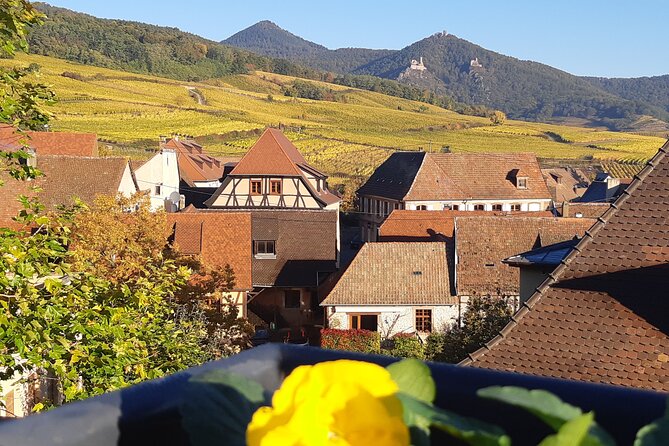 ICONICS Tour: 1/2 day on the Wine Route, visit of 2 Villages + Tasting. - Why this half-day tour works from Colmar