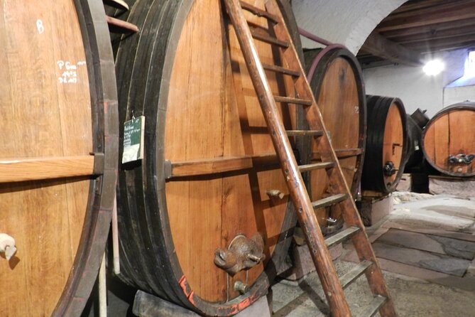 ICONICS Tour: 1/2 day on the Wine Route, visit of 2 Villages + Tasting. - The Alsace Wine Route and the cellar visit