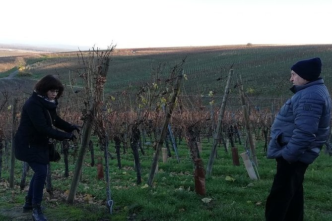 ICONICS Tour: 1/2 day on the Wine Route, visit of 2 Villages + Tasting. - Group size, comfort, and practical limits