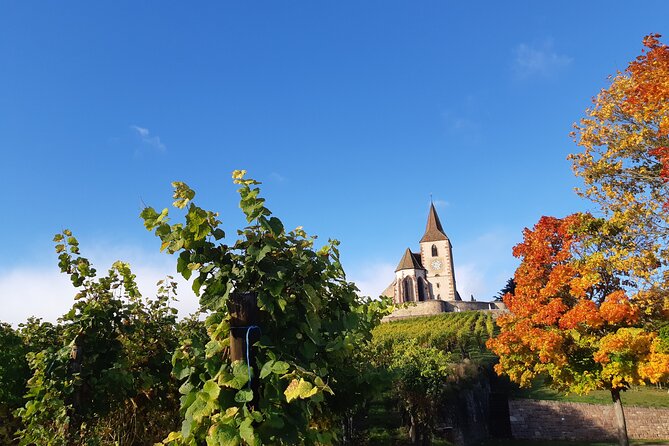 ICONICS Tour: 1/2 day on the Wine Route, visit of 2 Villages + Tasting. - Who will enjoy this tour most