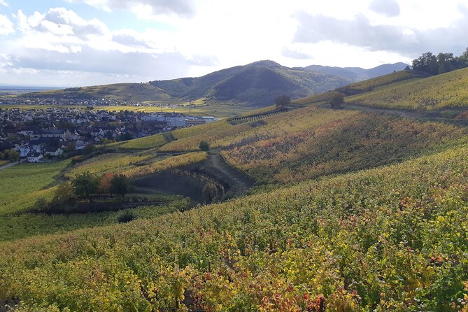 ICONICS Tour: 1/2 day on the Wine Route, visit of 2 Villages + Tasting. - Should you book it?