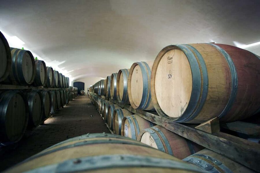 Il Molino di Grace: Vineyard & Cellar Tour with Wine Tasting - A short Tuscan wine visit with a clear purpose