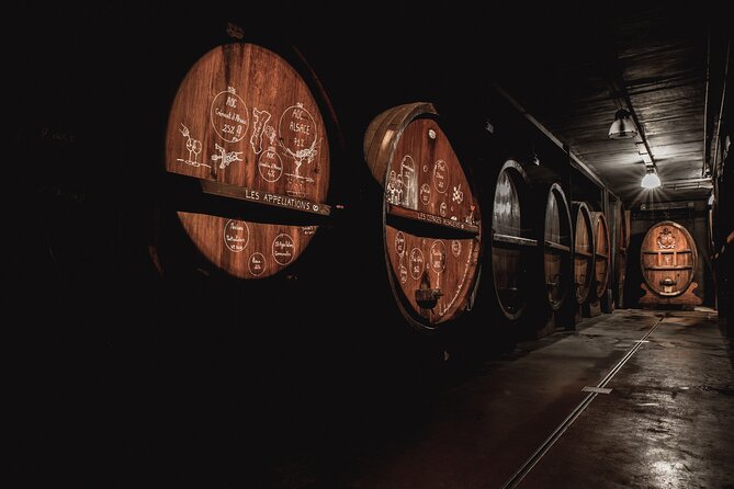 Immersive winery visit, tasting and picnic cart - Who should book this experience?