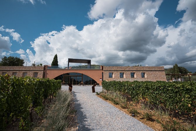 In a carriage among the vineyards, visit of the cellar, tasting of organic wines. - A Horse-Drawn Introduction to Upper Maremma