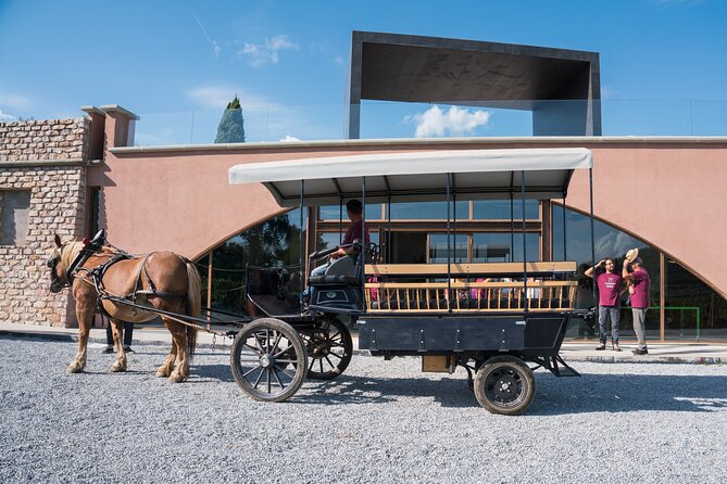 In a carriage among the vineyards, visit of the cellar, tasting of organic wines. - The Estate Ride in an Open-Sided Carriage