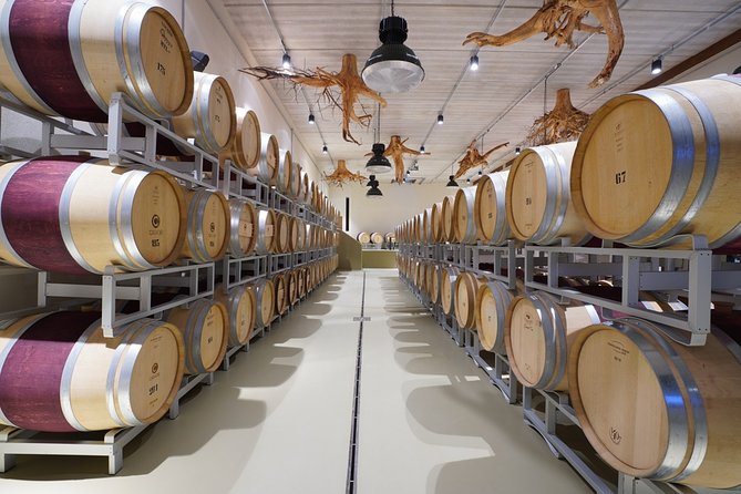 In a carriage among the vineyards, visit of the cellar, tasting of organic wines. - Why the Private Format Matters