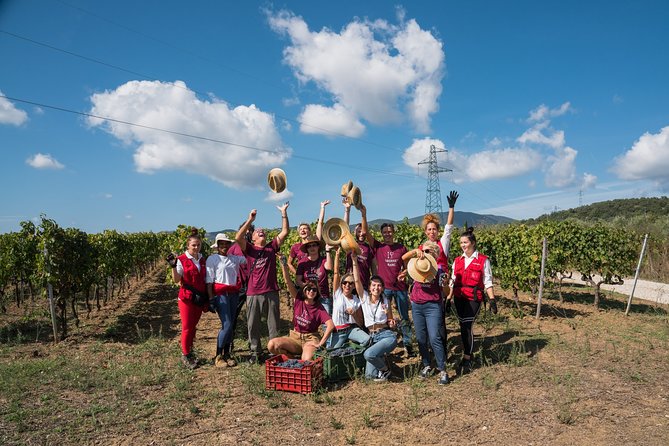 In a carriage among the vineyards, visit of the cellar, tasting of organic wines. - Who Will Enjoy This Casadei Visit Most