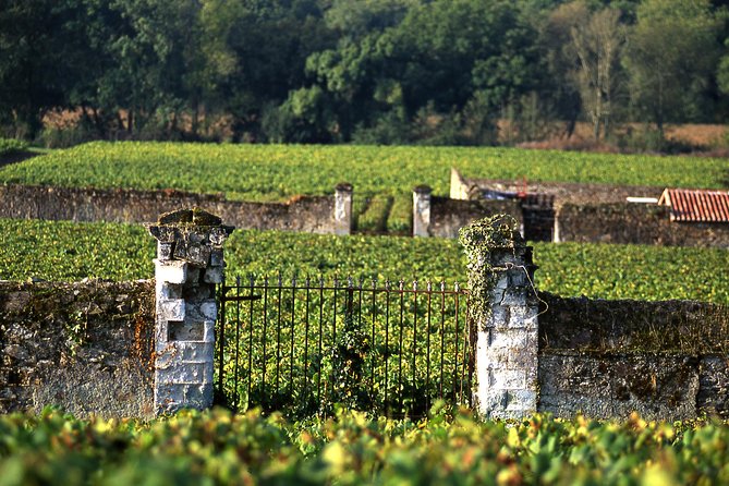 Incredible Loire castles tour with lunch and a vineyard visit - Chambord, a royal hunting lodge on a giant scale
