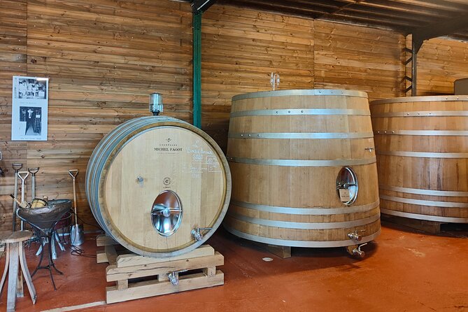 Independent wine tour, cellar and tasting in the vineyards - Key points to know before booking
