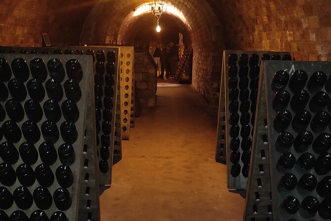Independent wine tour, cellar and tasting in the vineyards - A private route into the Montagne de Reims