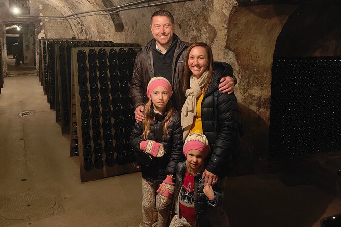 Independent wine tour, cellar and tasting in the vineyards - Choosing between a Champagne house and a grower