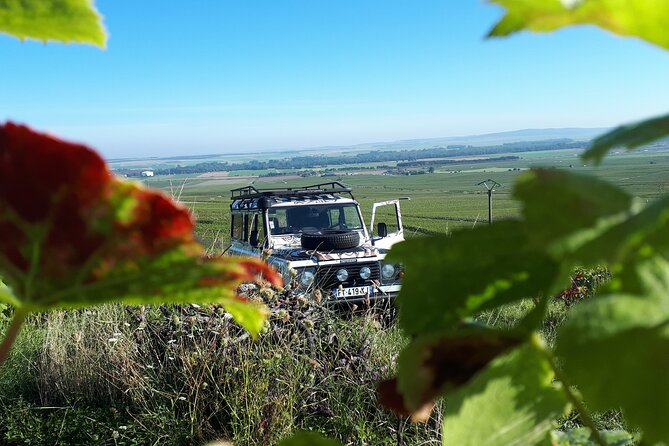 Independent wine tour, cellar and tasting in the vineyards - Tasting Champagne among the vines