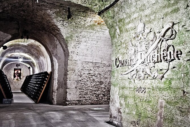 Independent wine tour, cellar and tasting in the vineyards - Who will enjoy this Champagne outing most