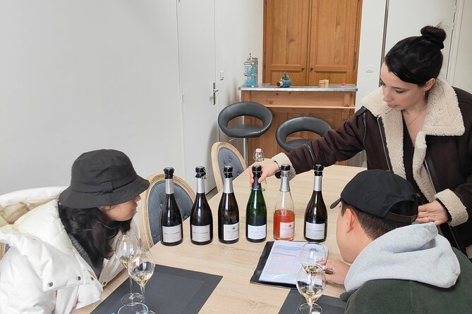 Independent wine tour, cellar and tasting in the vineyards - Hautvillers and the Dom Pérignon connection