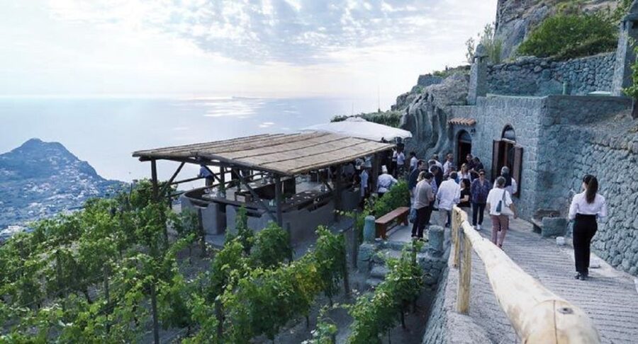 Ischia: Vineyard Tour & Wine Tasting Experience w/ Transfers - What makes this Ischia wine tour worth considering