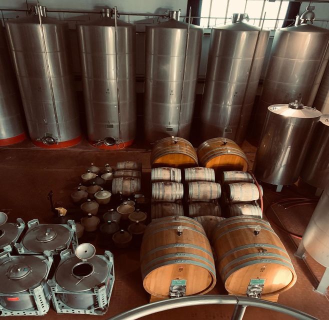 Ischia: Vineyard Tour & Wine Tasting Experience w/ Transfers - A vineyard setting with more than a pretty view
