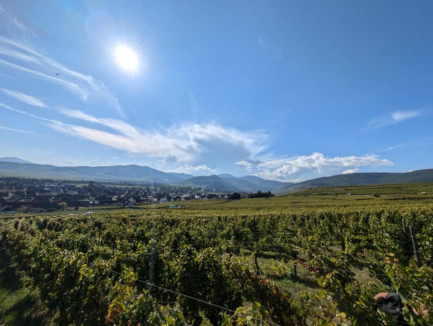 Kaysersberg Vineyard Discover the vineyard and wine, Domaine Meyer-Krumb - Key points to know
