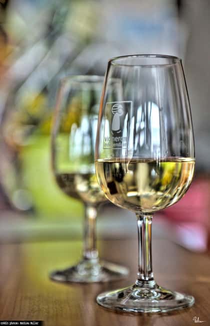Kaysersberg Vineyard Discover the vineyard and wine, Domaine Meyer-Krumb - Value, flexibility, and practical limits