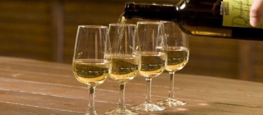 Kefalonia: Private Wine Tasting with Vineyard Tour - The private vehicle and pace of the day