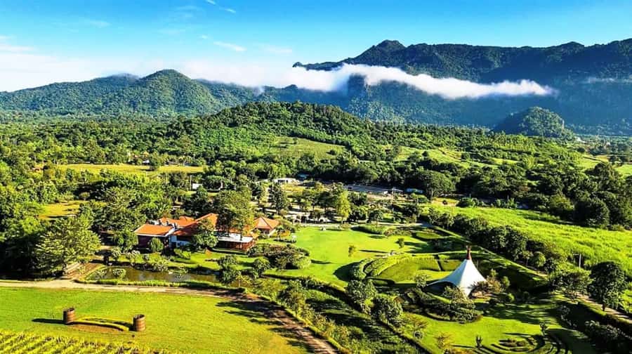 Khao Yai Vineyard Tasting Tour & Horse Farm Visit - Lunch at The Great Hornbill Restaurant