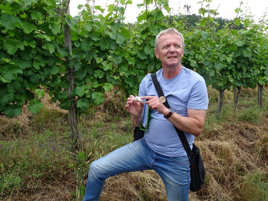 Koblenz: The Living Vineyard, Nature & Wine Enjoyment - Key points to know before booking