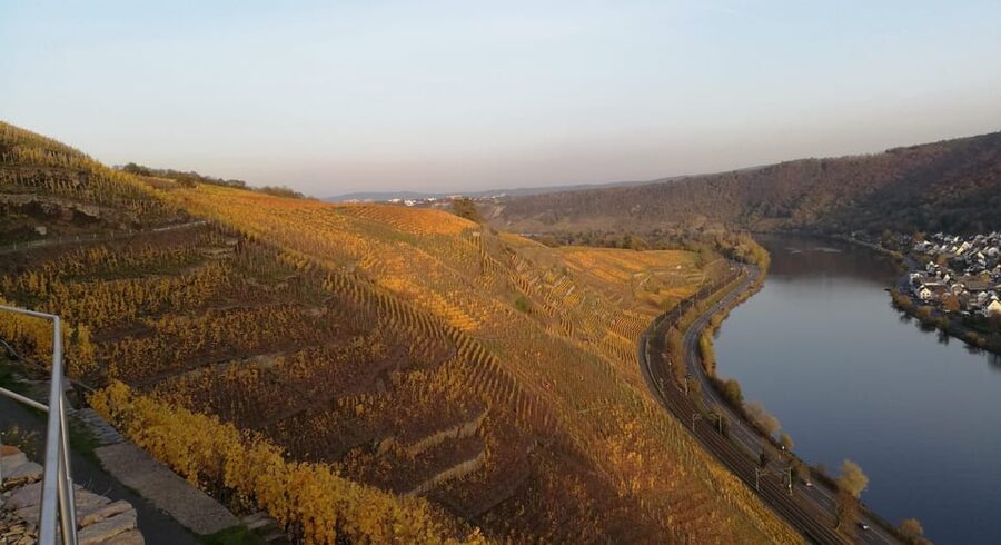 Koblenz: The Living Vineyard, Nature & Wine Enjoyment - Who should book this experience?
