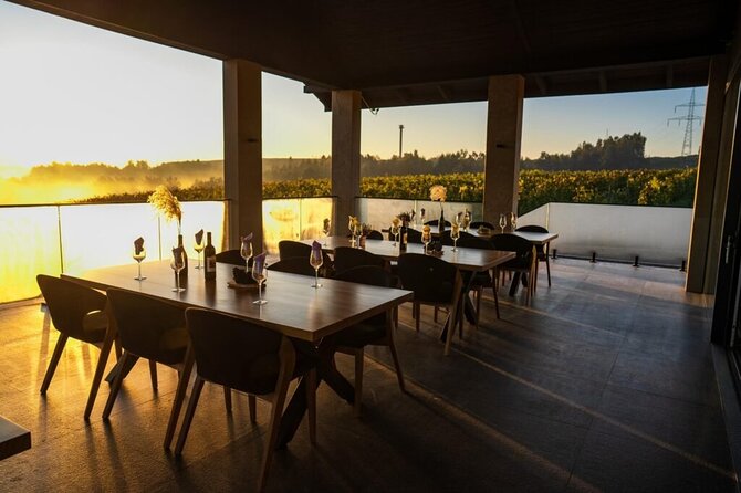 Krakow Vineyard Tour with Wine Tasting and Dinner - Weather and timing matter