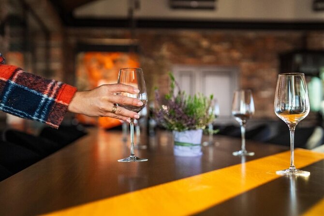 Krakow Vineyard Tour with Wine Tasting and Dinner - Who will enjoy this Krakow wine tour?