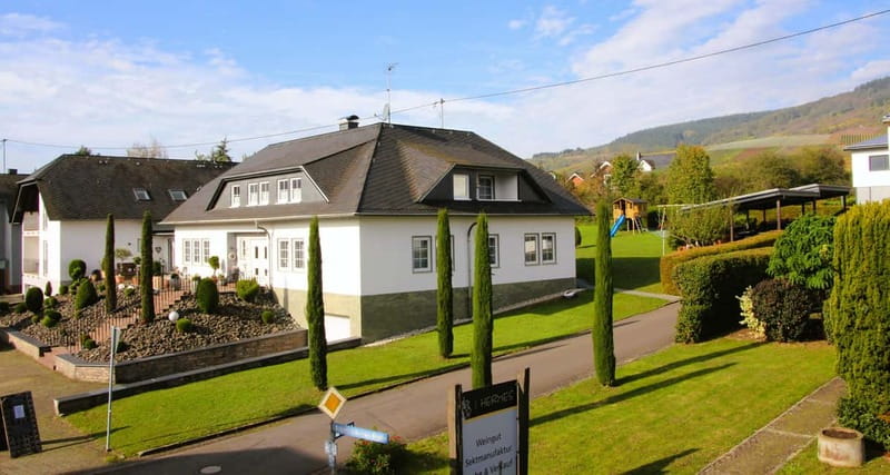 Kröv/Gut Hermes: Wine tour & tasting through vineyard, winery & champagne factory - What the positive feedback tells you about the visit