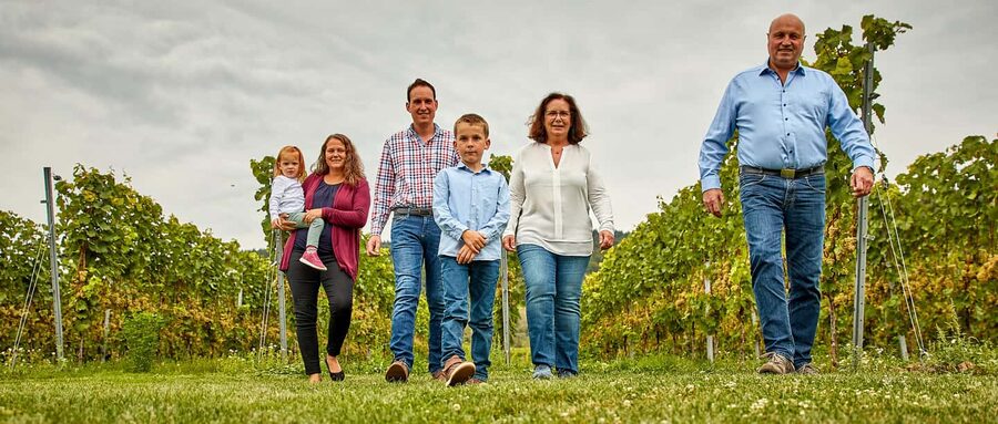 Kröv/Gut Hermes: Wine tour & tasting through vineyard, winery & champagne factory - The vineyard, tractors, and the work behind each bottle