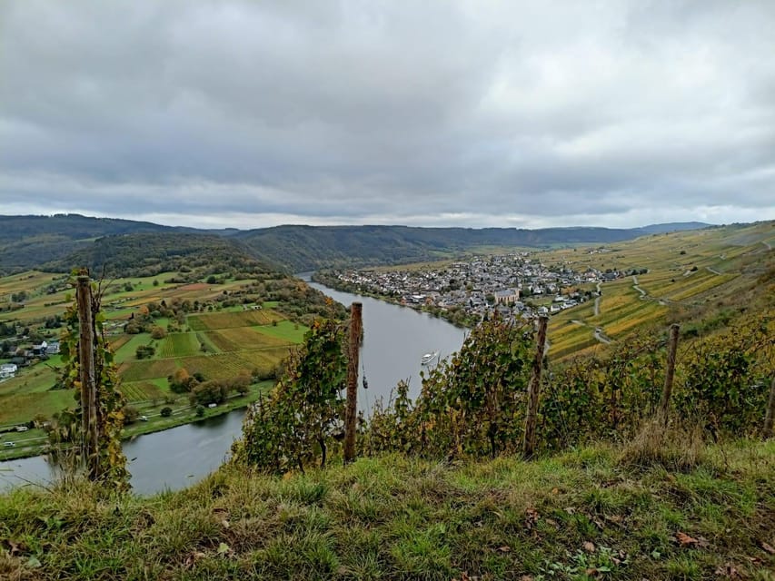 Kröv, Mosel: Covered wagon ride through the vineyards with wine tasting - Seven wines, a Secco, and a clear look at winemaking