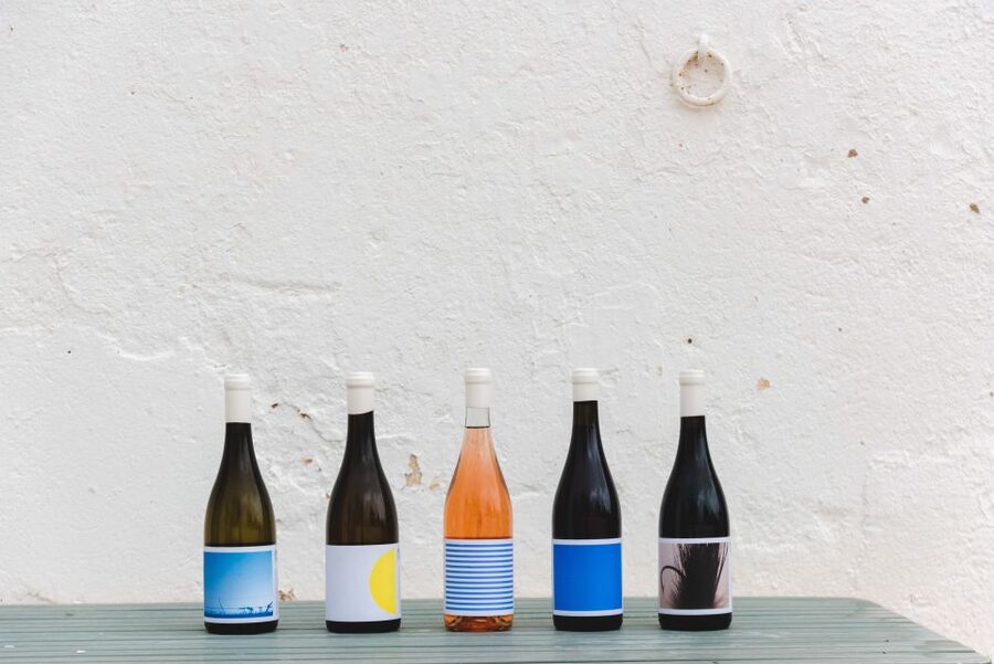 Lagoa: Vineyard Tour and Wine Tasting - Walking among the old Negramole vines
