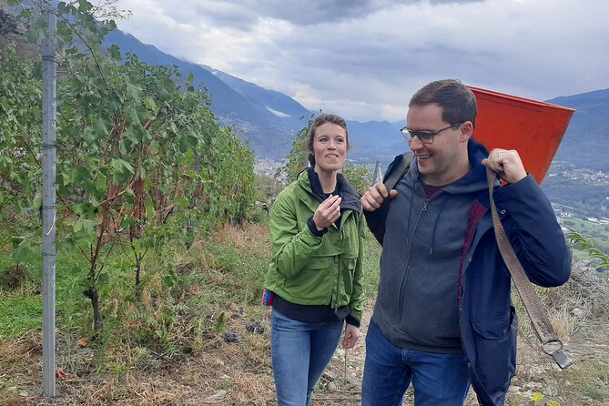 Lake Como & UNESCO Dry-stone Walls Vineyards - What the small group changes
