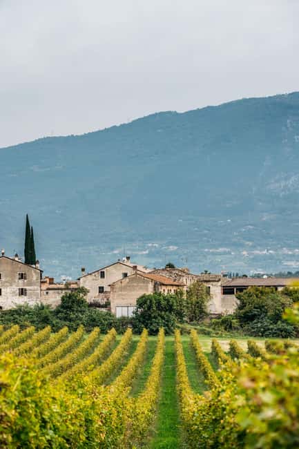 LAKE GARDA: VINEYARD AND WINERY TOUR - Who will enjoy this visit most