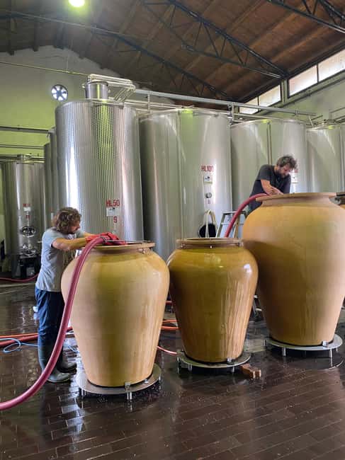 LAKE GARDA: VINEYARD AND WINERY TOUR - FAQ