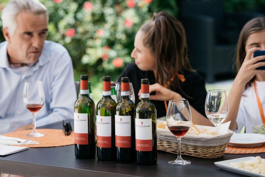 Lake Garda: Vineyard Tour and 6 wine Tasting - Meeting Giovanna among the Lake Garda vines