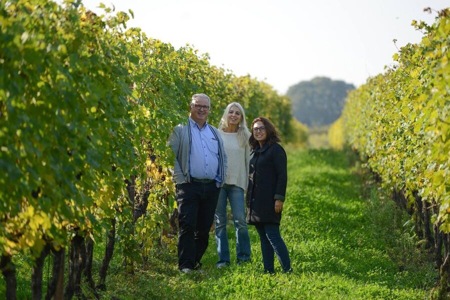 Lake Garda: Vineyard Tour and 6 wine Tasting - Magico focuses on Corvina