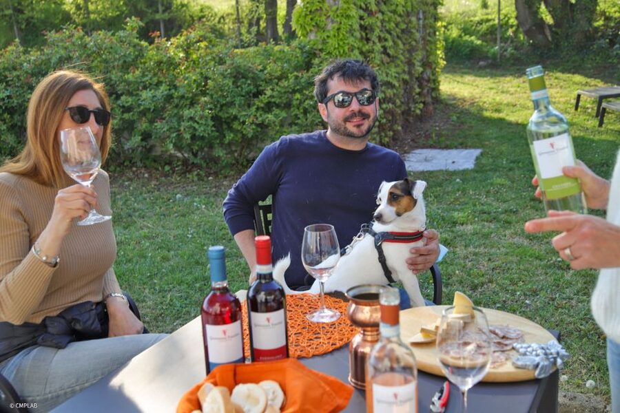 Lake Garda: Vineyard Tour and 6 wine Tasting - Cured meats and cheeses make the $45 price easier to judge