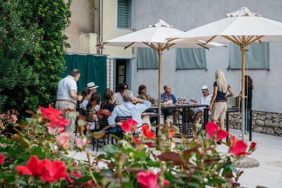 Lake Garda: Vineyard Tour and 6 wine Tasting - Two hours is efficient, but not leisurely