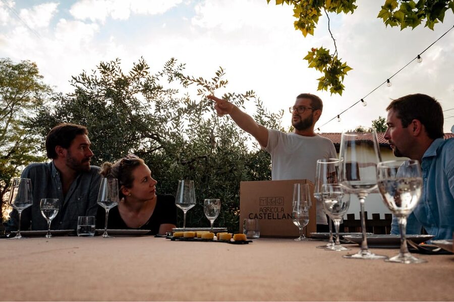Lake Garda: Vineyard Tour and Tasting on the Hills - Local food that makes the wine tasting better