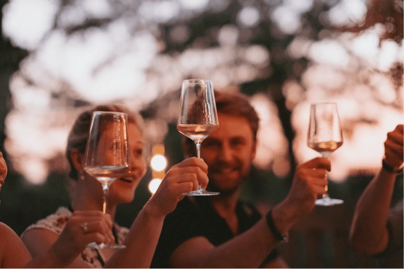 Lake Garda: Vineyard Tour and Tasting on the Hills - Who will enjoy this wine tour most