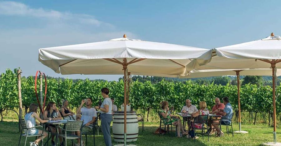 Lake Garda: Wine and Food Tastings in the Vineyards - A vineyard table outside Lazise