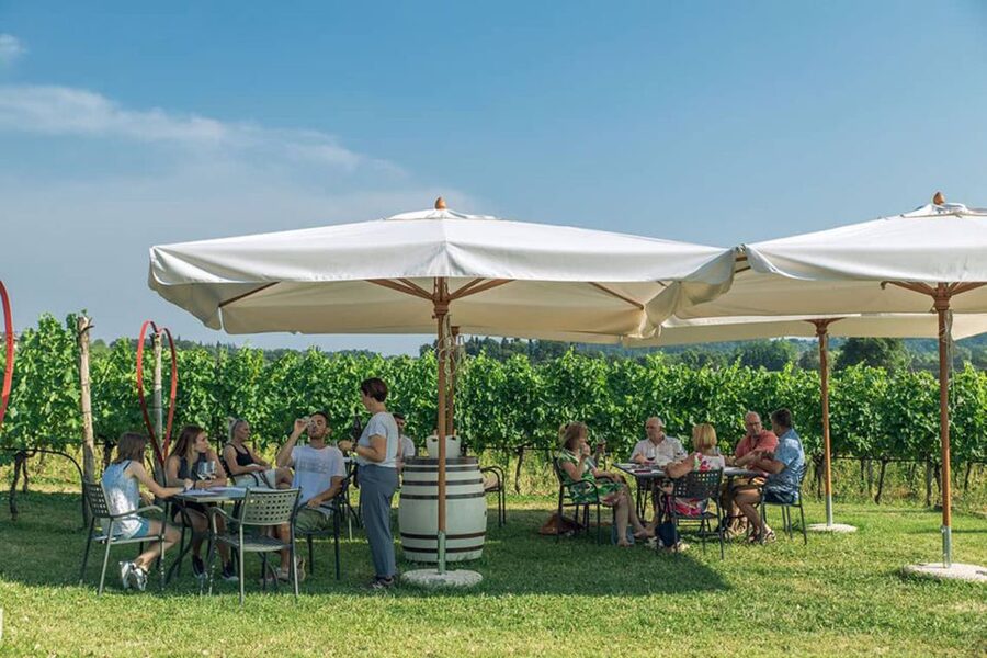 Lake Garda: Wine and Food Tastings in the Vineyards - Garda olive oil on toasted bread