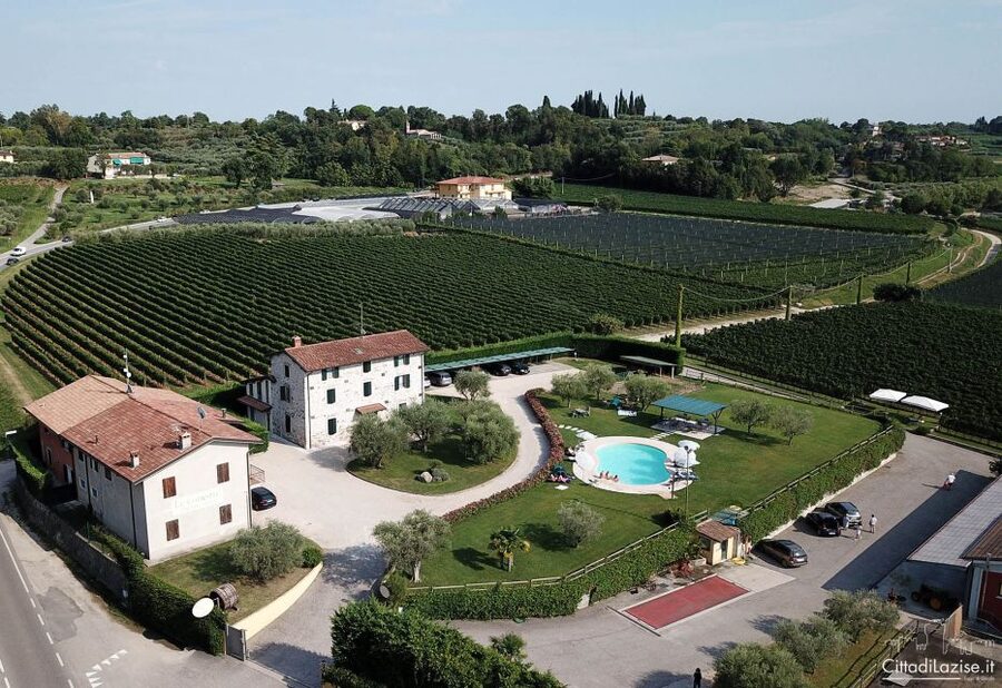 Lake Garda: Wine and Food Tastings in the Vineyards - A friendly, social two-hour experience