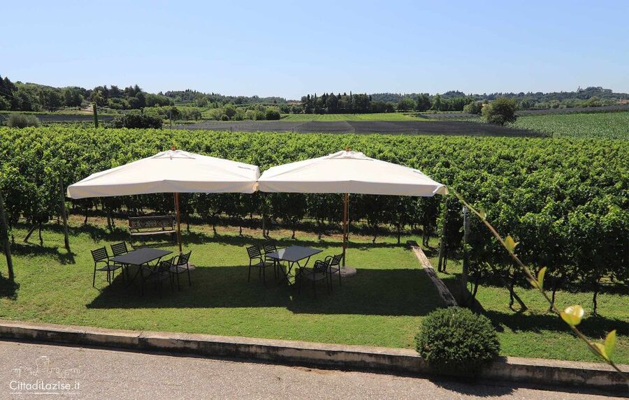 Lake Garda: Wine and Food Tastings in the Vineyards - Getting there and planning your day