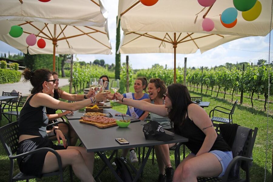 Lake Garda: Wine and Food Tastings in the Vineyards - Who will enjoy this tasting most