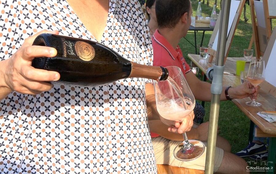 Lake Garda: Wine and Food Tastings in the Vineyards - Verona salami, cheese, and bread