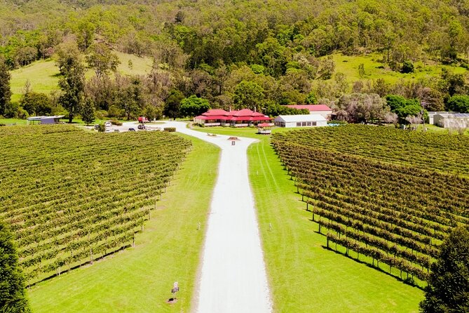 Lamington National Park, O'Reilly's & Vineyard Tour - OReillys Vineyard adds wine and alpacas